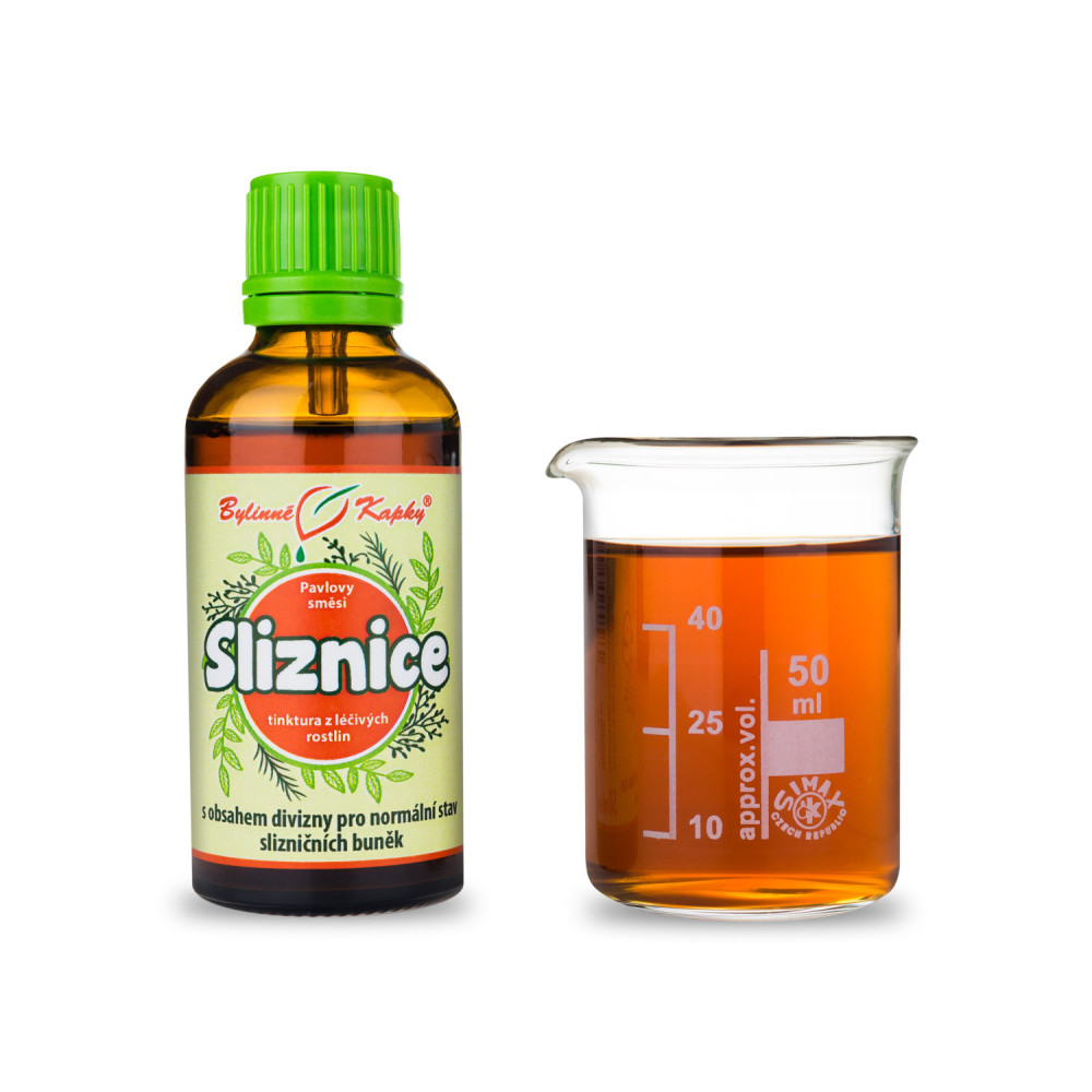 Sliznice - Pavlovy bylinné kapky (tinktura) 50 ml