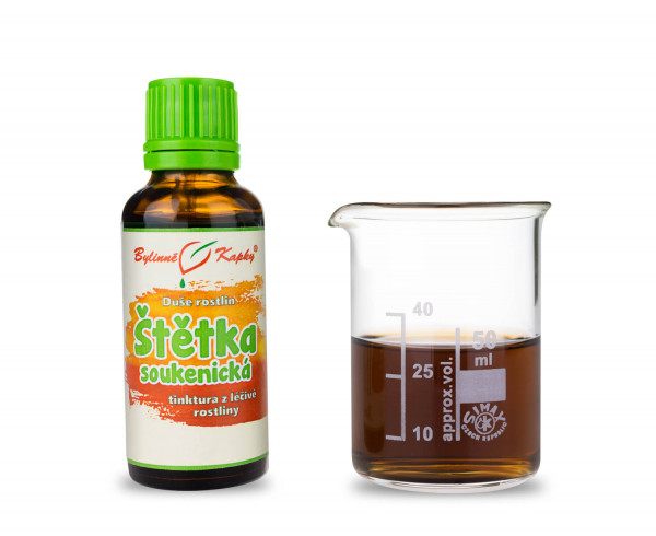 Štětka soukenická - Bylinné kapky (tinktura) Duše rostlin 30 ml
