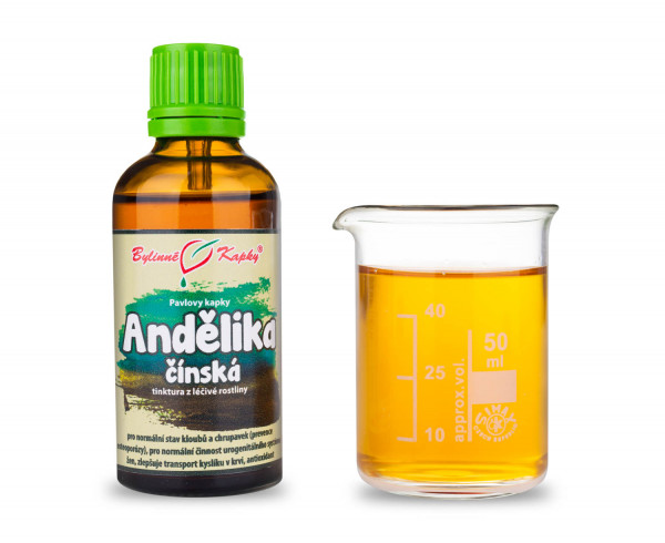 Andělika čínská (angelika, děhel čínský) (TCM) - Pavlovy bylinné kapky (tinktura) 50 ml