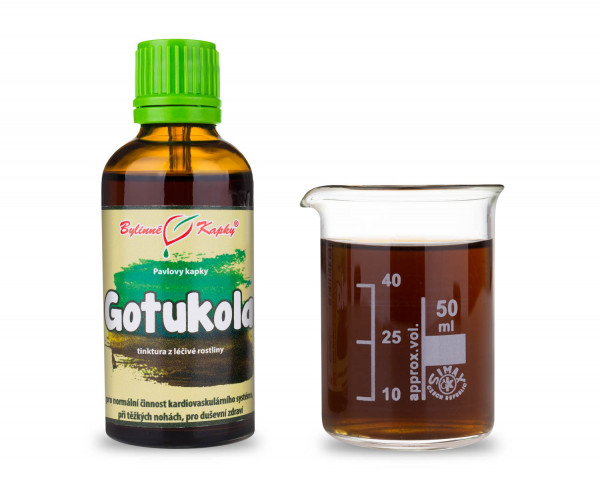Gotukola (gotu kola) - Pavlovy bylinné kapky (tinktura) 50 ml
