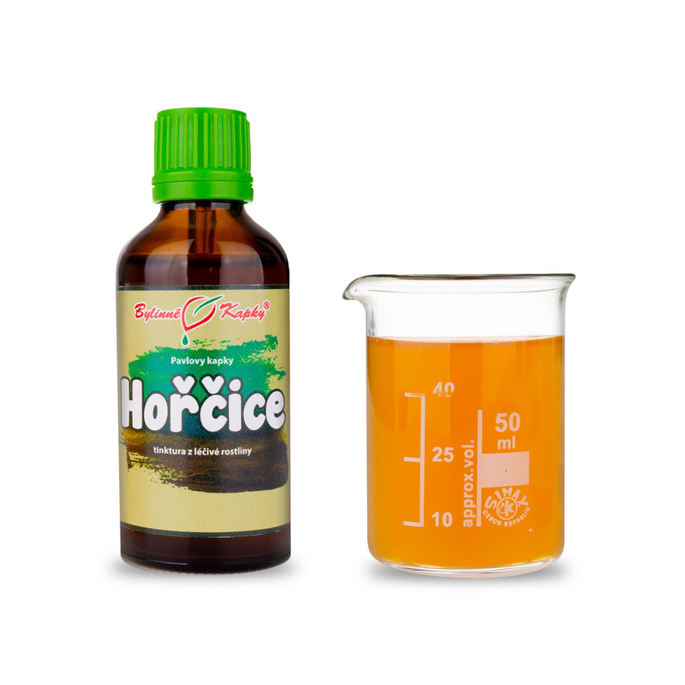 Hořčice - Pavlovy bylinné kapky (tinktura) 50 ml