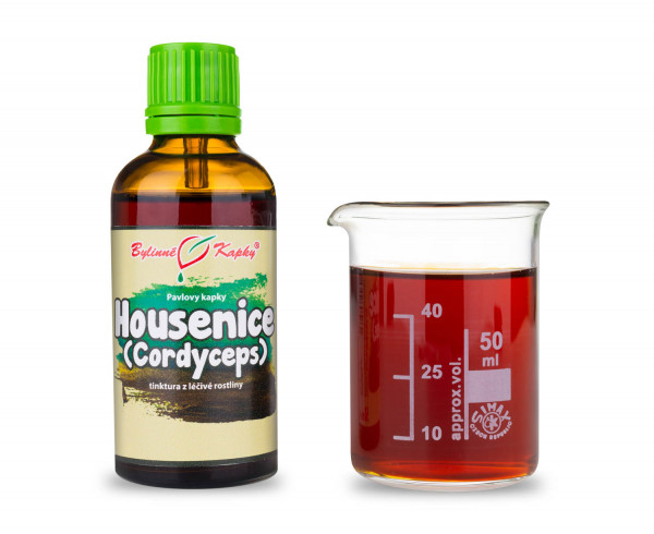 Housenice červená - Cordyceps - Pavlovy bylinné kapky (tinktura) 50 ml
