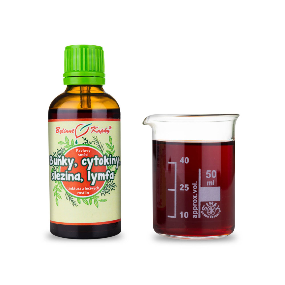 Buňky, cytokiny, slezina, lymfa (Netopýr 3) - Pavlovy bylinné kapky (tinktura) 50 ml