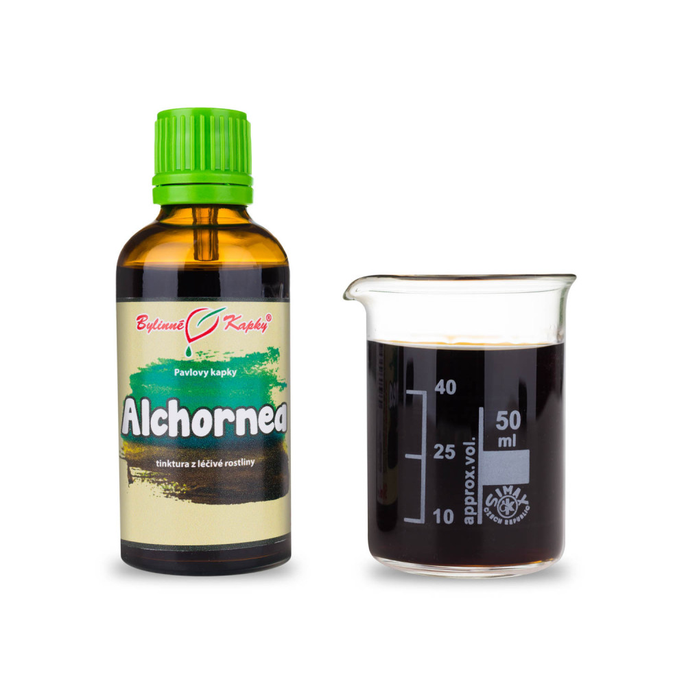 Alchornea - Pavlovy bylinné kapky (tinktura) 50 ml