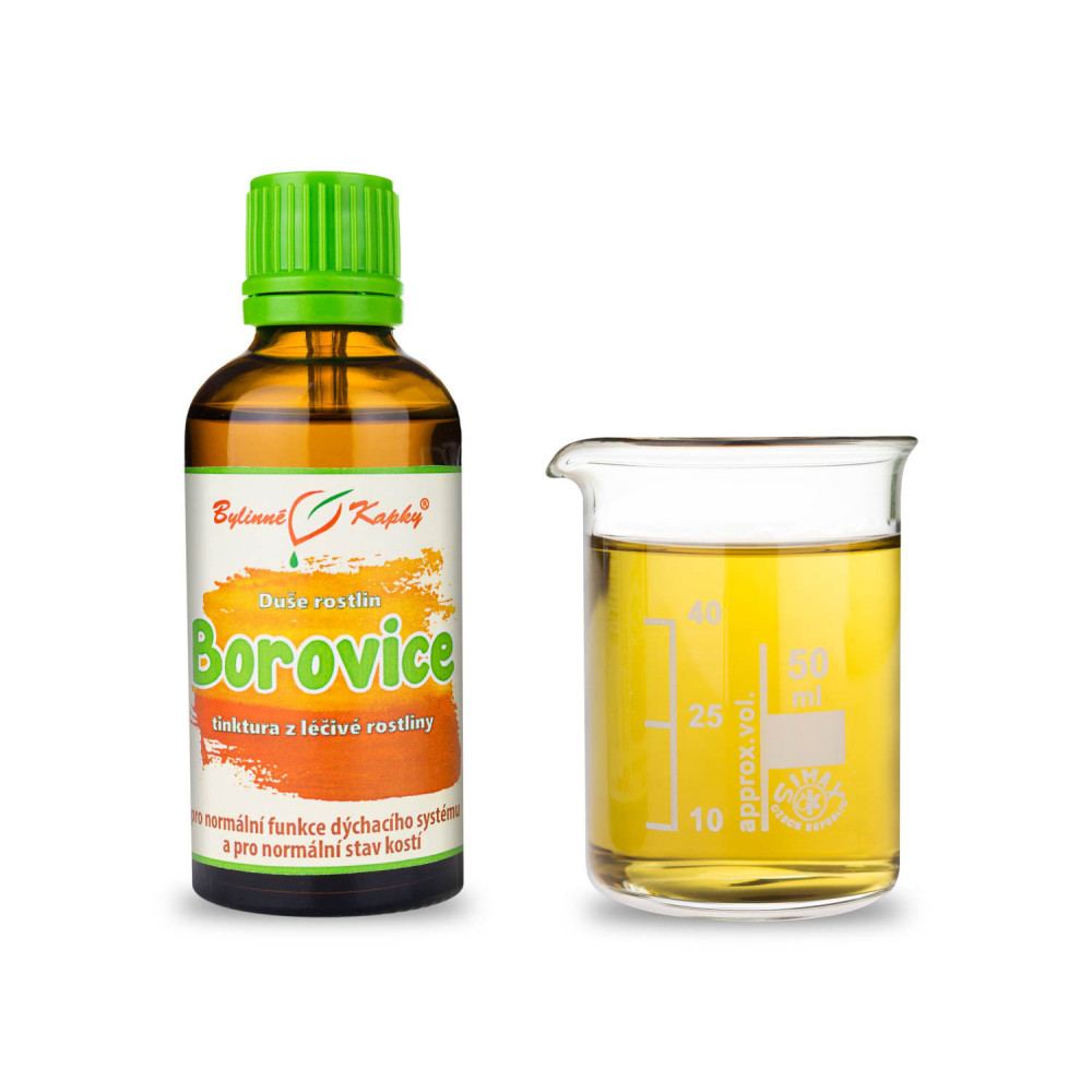 Borovice kosodřevina (kleč) výhonky - Bylinné kapky (tinktura) Duše rostlin 50 ml