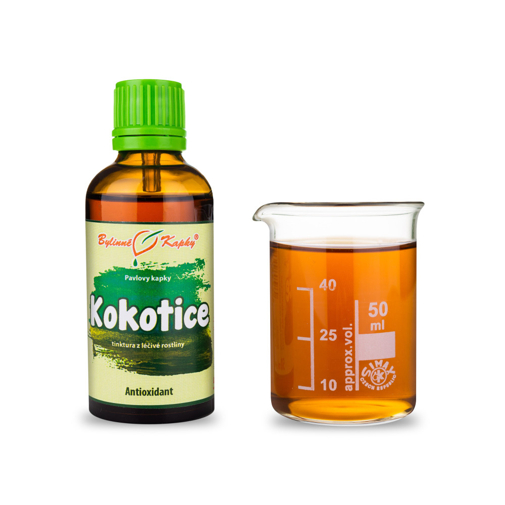 Kokotice čínská (TCM) - Pavlovy bylinné kapky (tinktura) 50 ml
