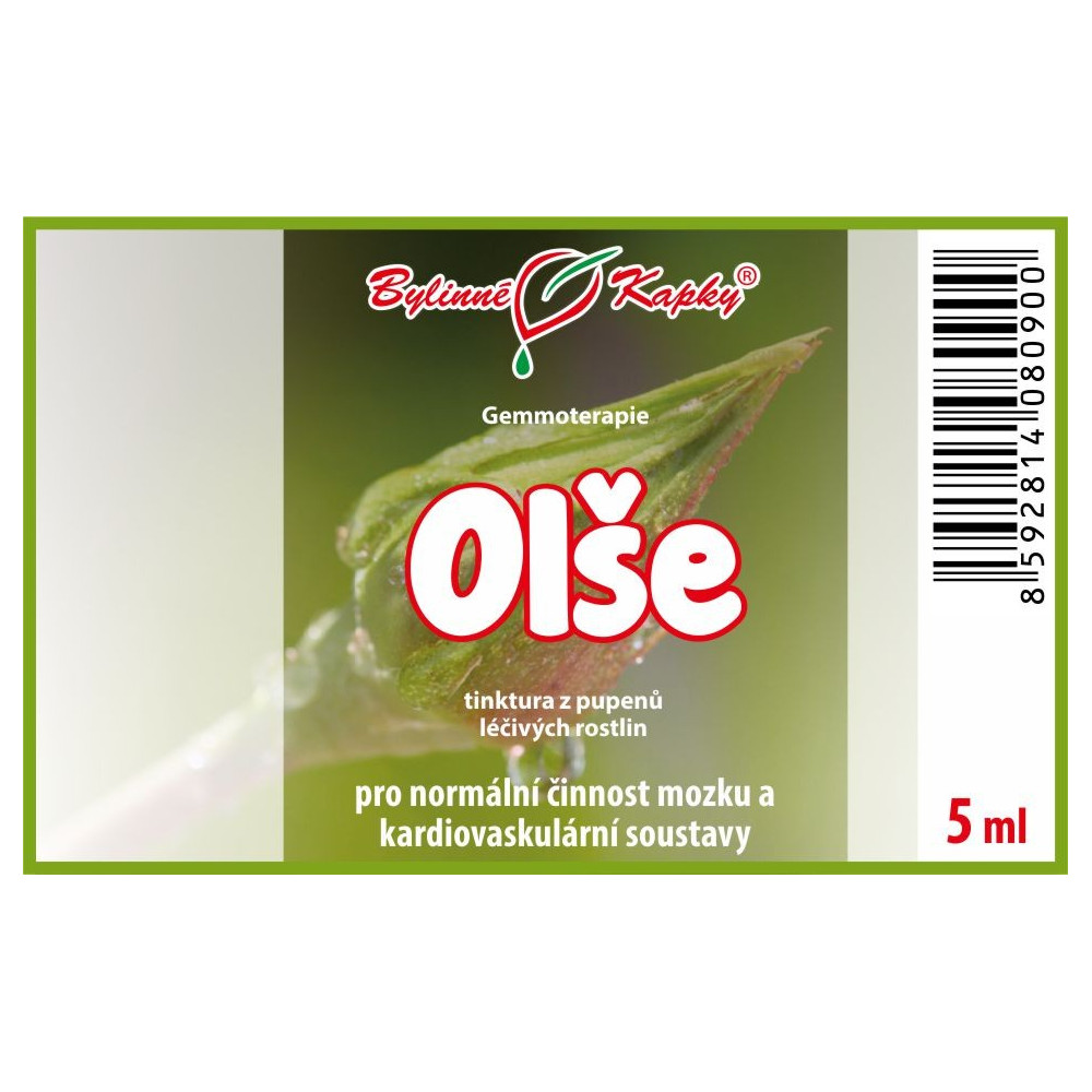 Olše - Bylinné kapky - gemmoterapie (tinktura z pupenů) 5 ml