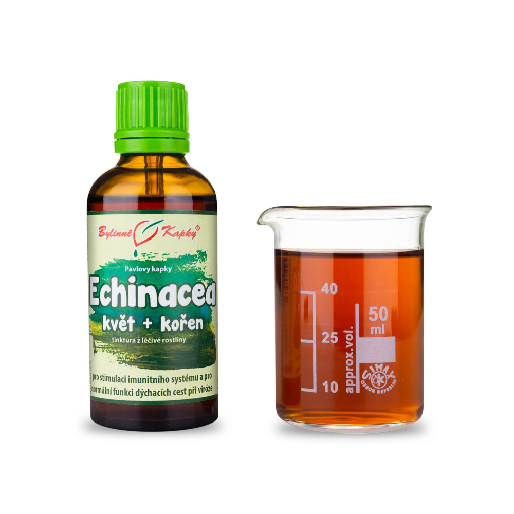 Echinacea purpurea (třapatka nachová) květ + kořen (Pavlovy bylinné kapky - tinktura) 50 ml