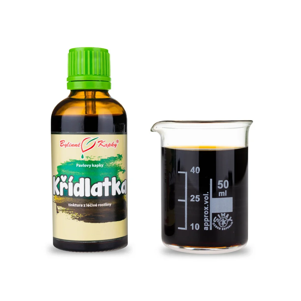 Křídlatka (Buhnerův protokol, TCM) - Pavlovy bylinné kapky (tinktura) 50 ml