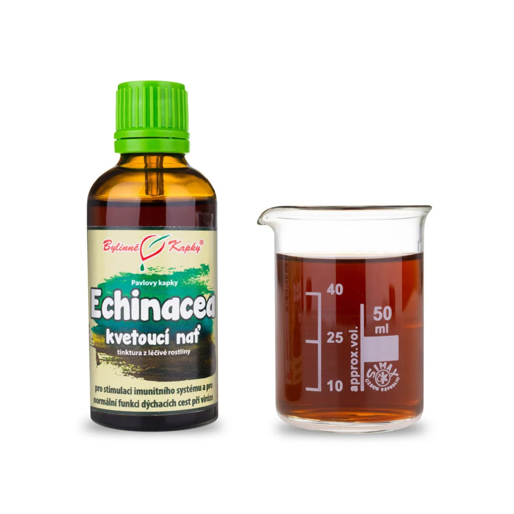 Echinacea purpurea (třapatka nachová) kvetoucí nať - Pavlovy bylinné kapky - tinktura 50 ml