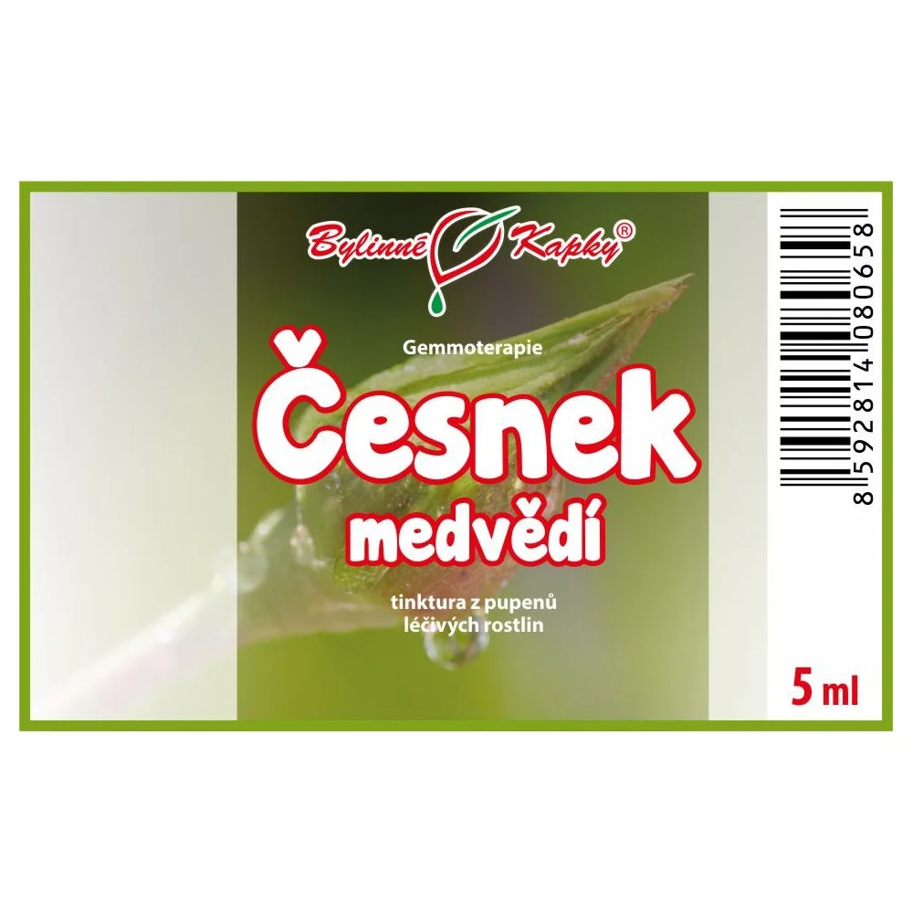 Česnek medvědí - Bylinné kapky - gemmoterapie (tinktura z pupenů) 5 ml