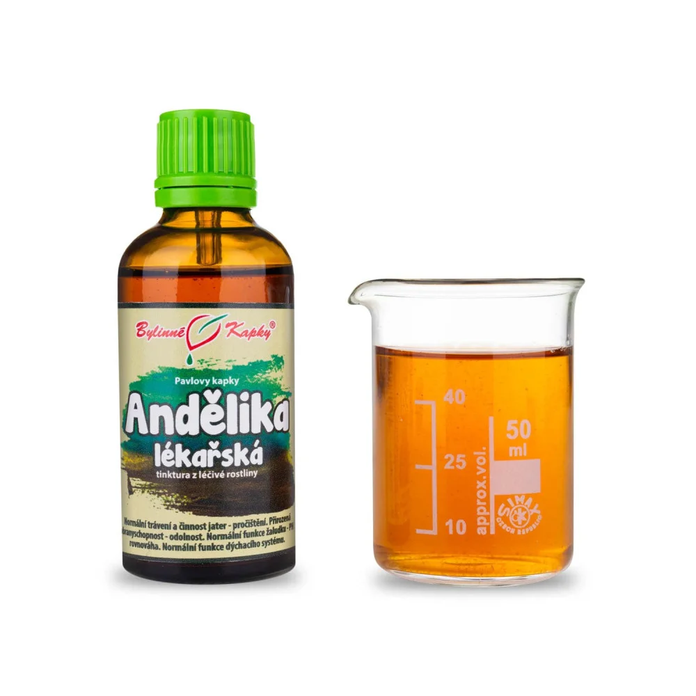 Andělika lékařská (angelika, děhel) tinktura 50 ml | Pavlovy bylinné kapky