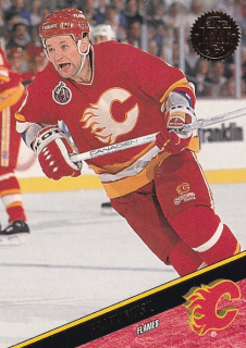 Hokejová karta František Musil Leaf 1993-94 řadová č. 236