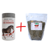 Výhodný balíčekMIKROP® HORSE DIAMOND CARE DETOX+REGENERATION + Bylinná směs Detoxikace a játra