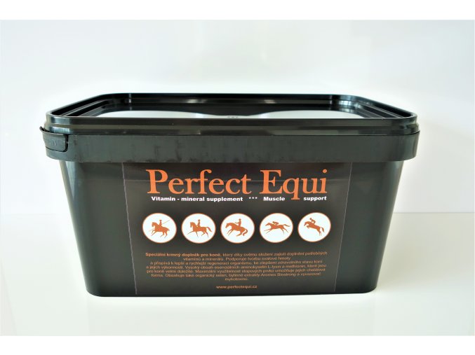 Perfect Equi + 3kg