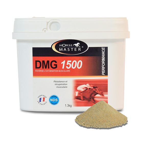 DMG 1500