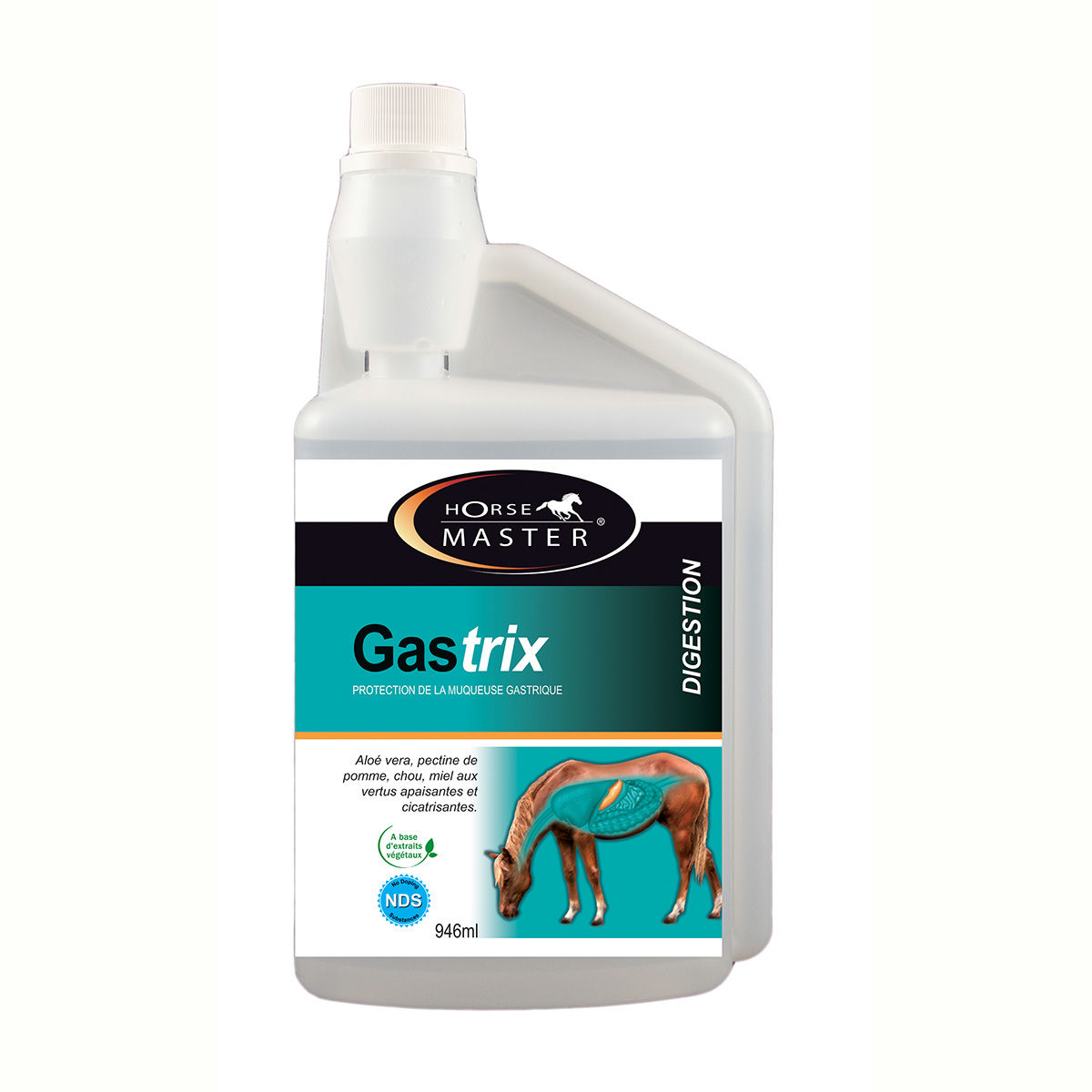 GASTRIX