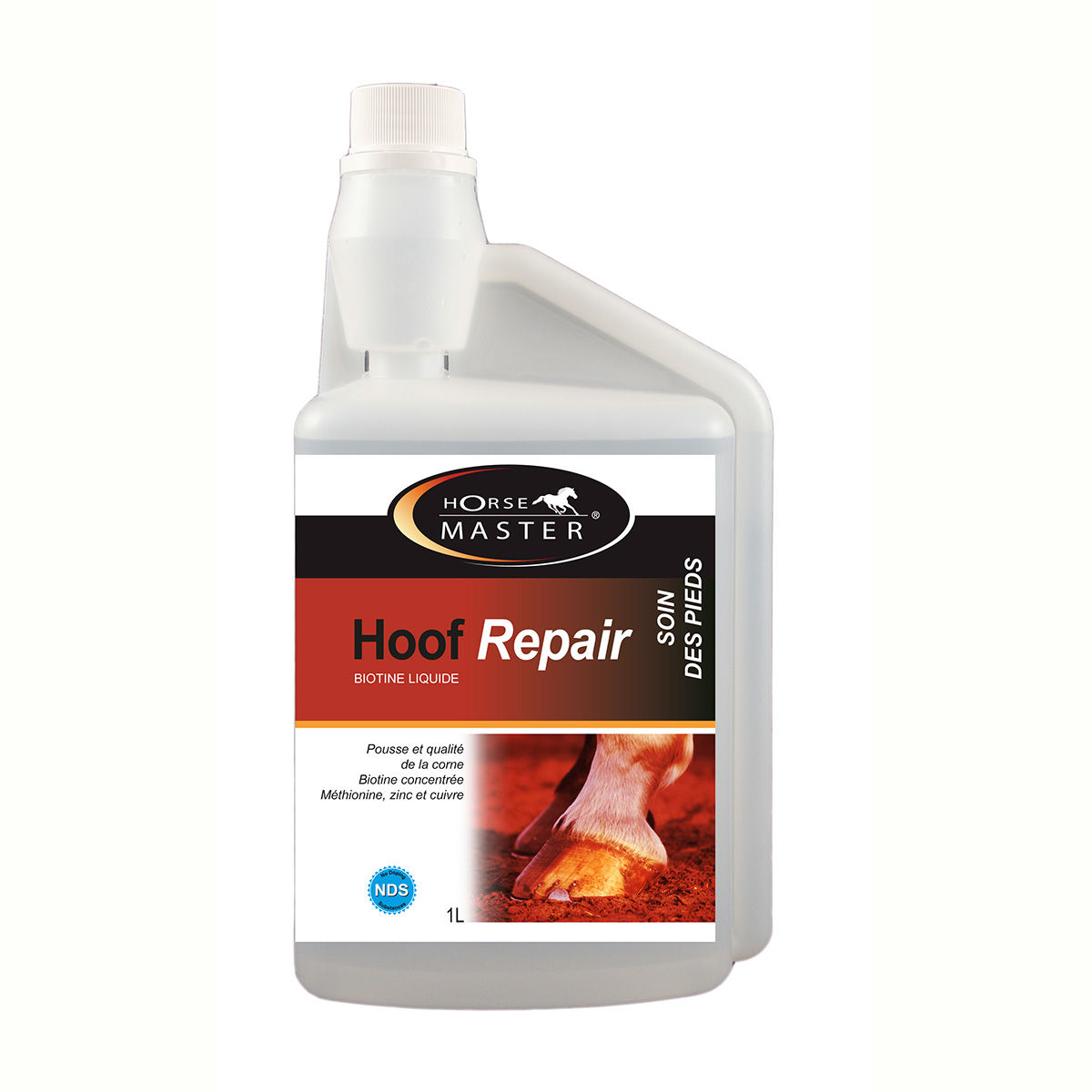 HOOF REPAIR