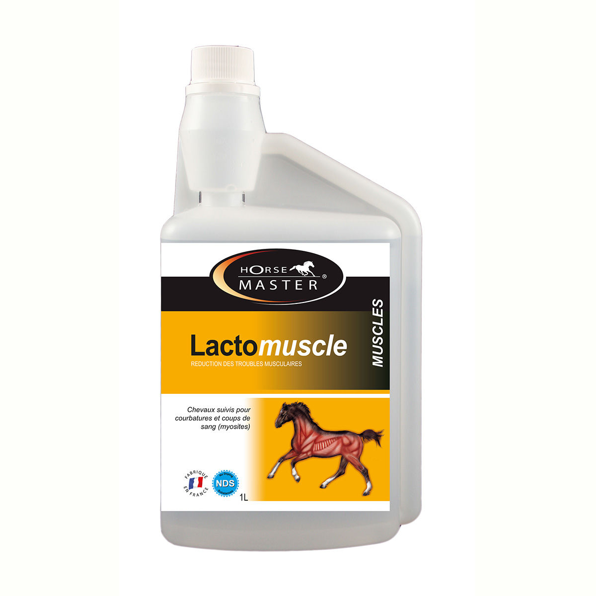 LACTOMUSCLE