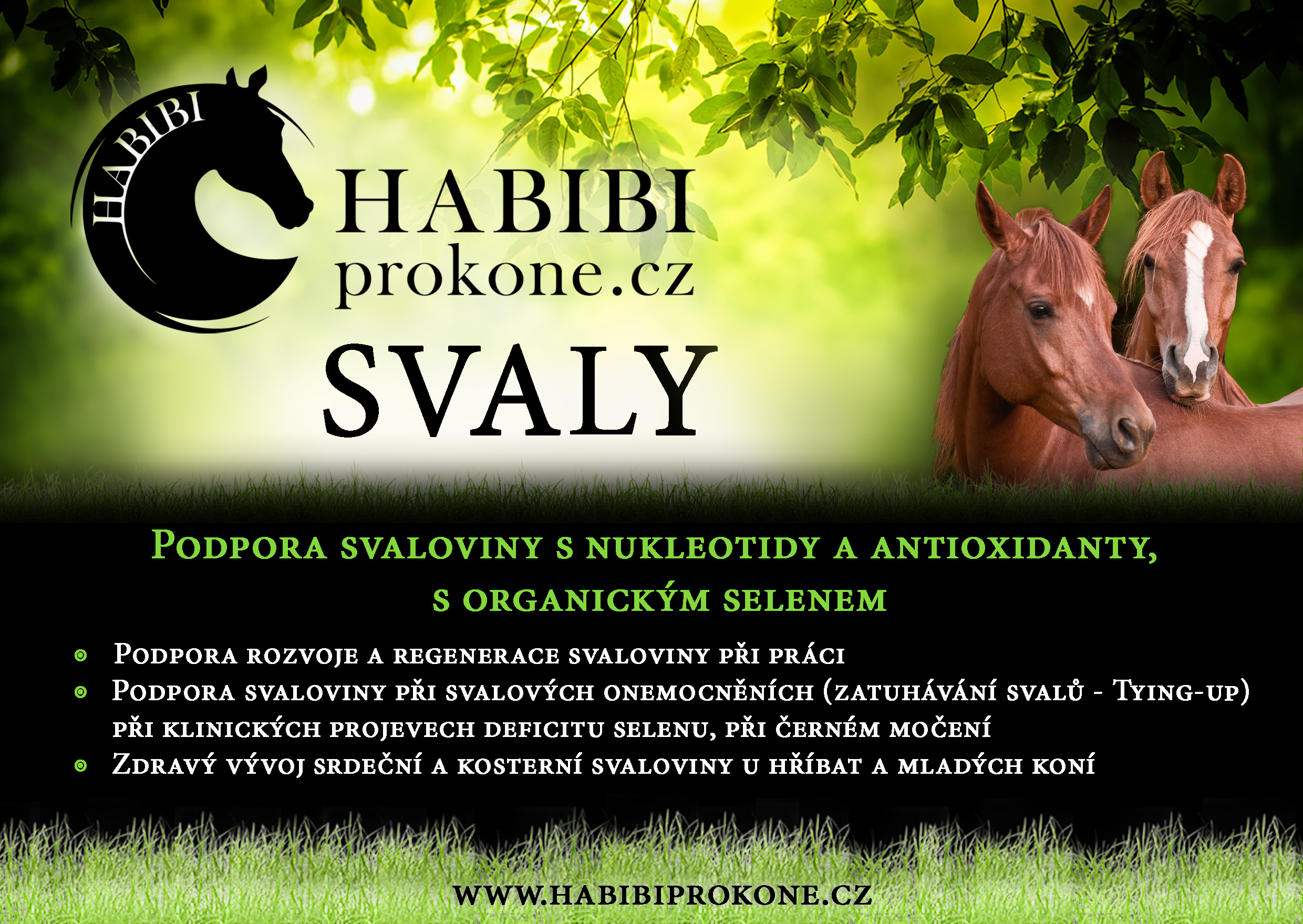 Habibi - SVALY 2,2KG 
