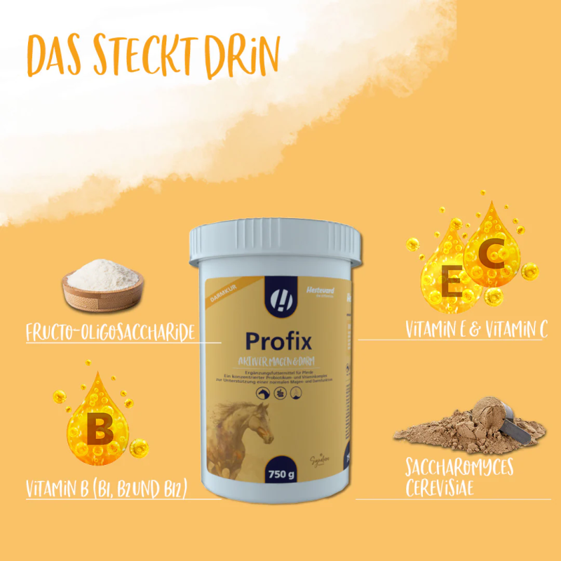 Koncentrovaný probiotický a vitamínový komplex Veterinary Profix (Balení, 750 g)