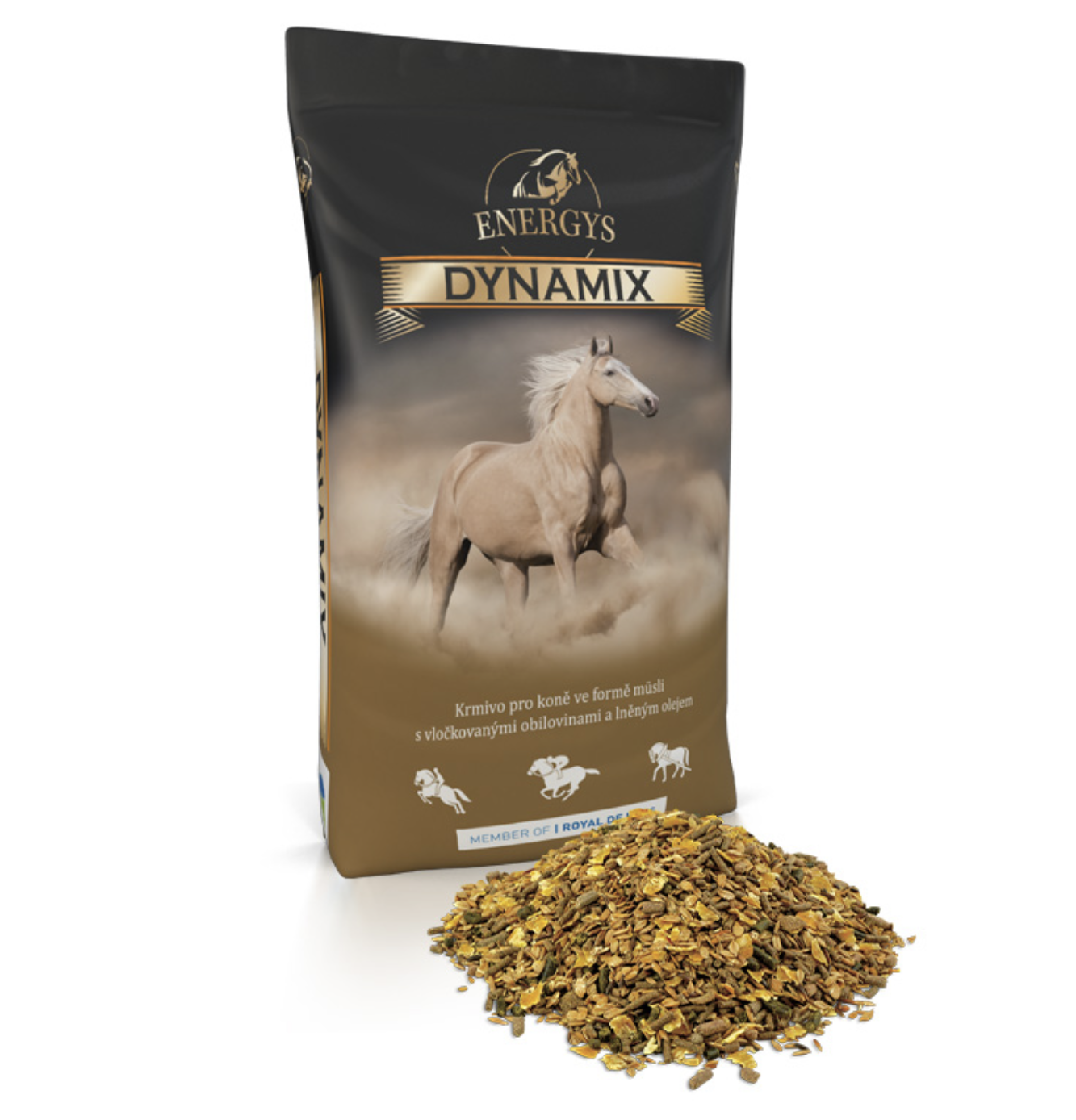 ENERGYS DYNAMIX