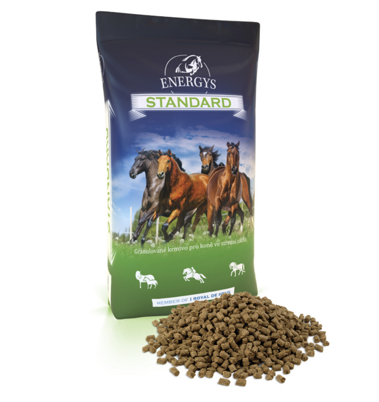 ENERGYS STANDARD
