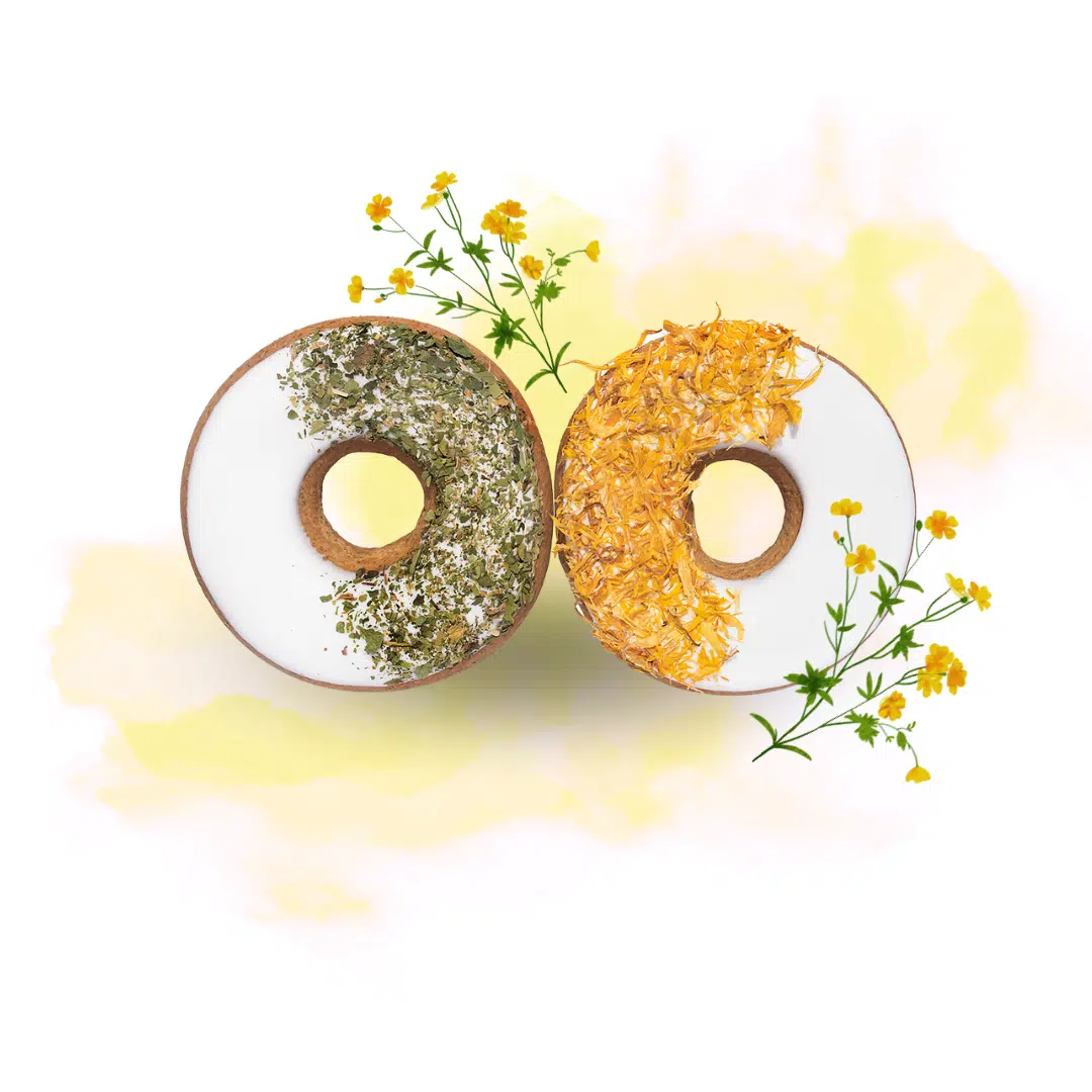 Donut 2ks 
