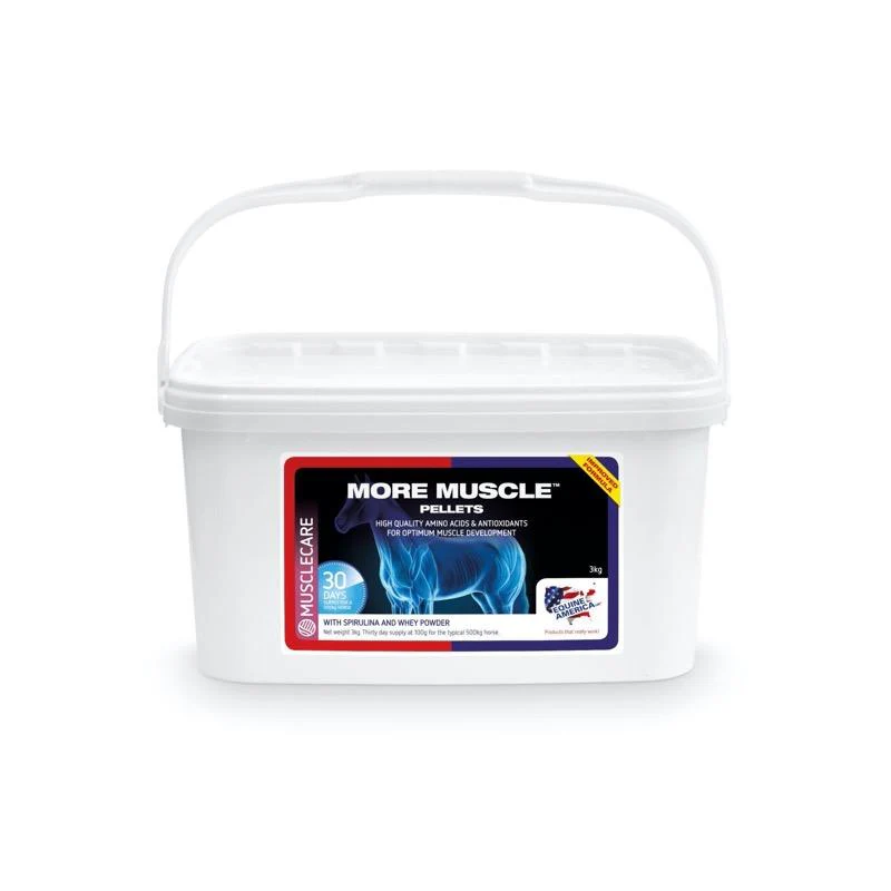 More Muscles pro snadnou tvorbu silných a zdravých svalů s lysinem a leucinem (Balení 3 kg)