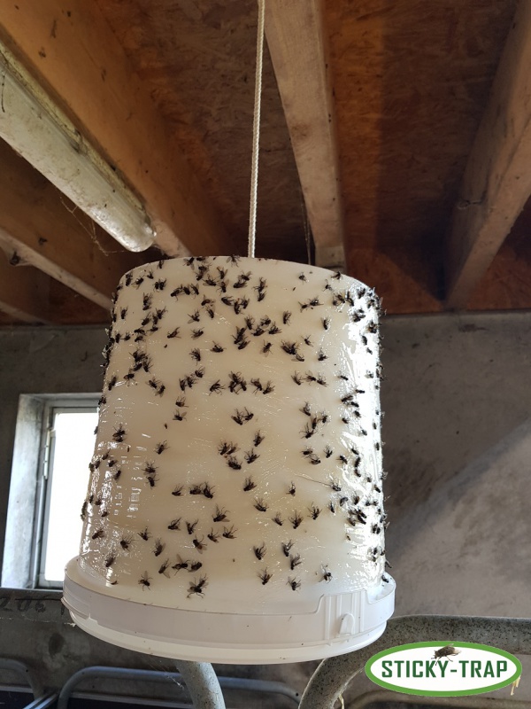 Bílý kyblík pro aplikaci Sticky Trap Lepu na ovády k vytvoření Sticky Trap Pasti