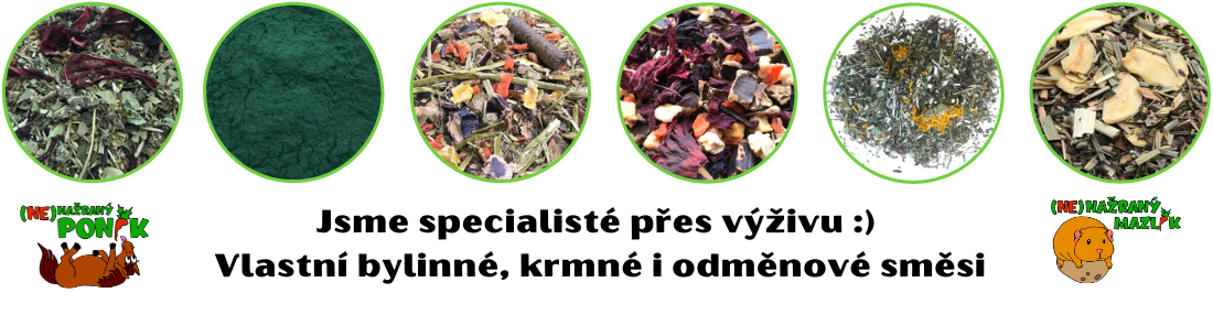Krmeni-z-rukou-vyzivare-To-nejlepsi-pro-Vase-kone-kralicky-morcatka-a-jine-mazlicky-2.png