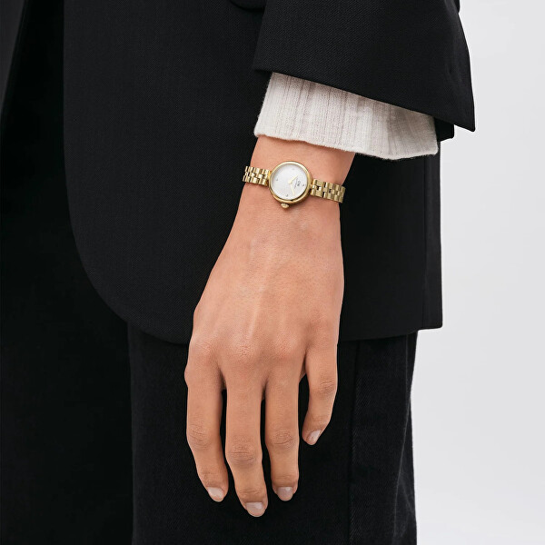 Hodinky Daniel Wellington DW00100715 