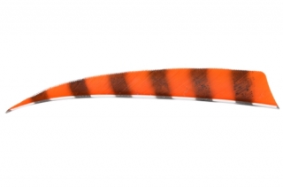 Krocaní letka - pravá (RW) - délka 5" - PRUHOVANÁ - oranžová/černá