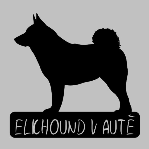 Elkhound v autě - možno jméno ZDARMA