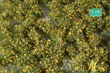 miniNatur travní drny olistěné - časný podzim blistr