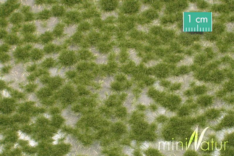 miniNatur travní drny krátké - časný podzim blistr