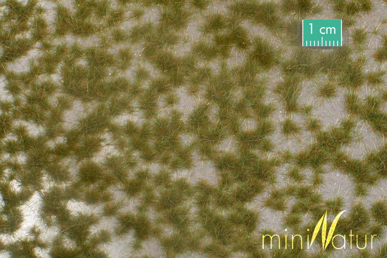 miniNatur travní drny dvoubarevné krátké - časný podzim blistr