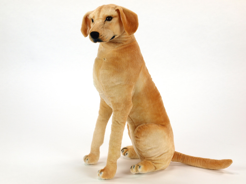 Plyšový pes Labrador, výška 83 cm