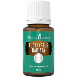 Eukalyptus úzkolistý 15 ml