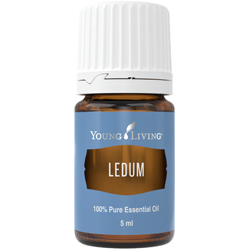 Rojovník (Ledum) 5 ml