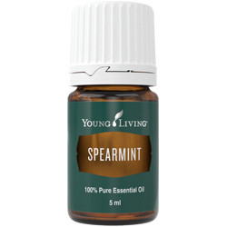 Spearmint (Máta klasnatá) esenciální olej 5 ml