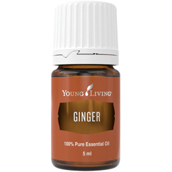 Zázvor (Ginger) 5 ml