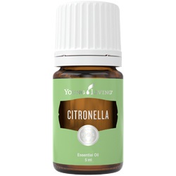 Citronela esenciální olej 5 ml