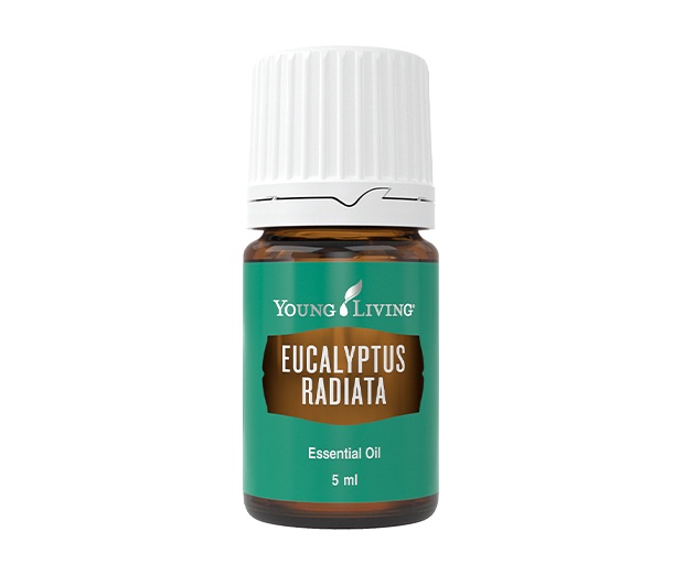 Eukalyptus úzkolistý 5 ml