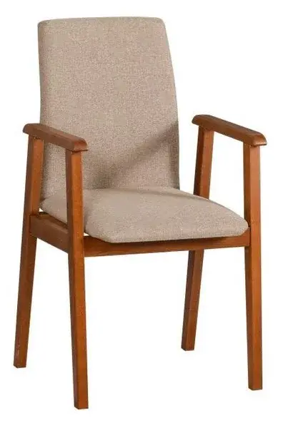 Židle FOTEL 2