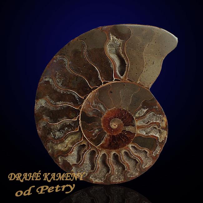 Amonit z  Madagaskaru 127x100mm