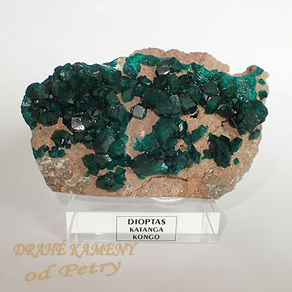 Dioptas z Konga 50x86mm