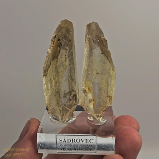 Sádrovec z Moravy 55x18mm, 55x18mm