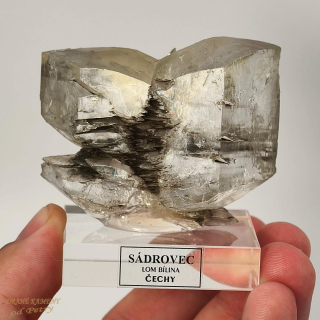 Sádrovec z Čech 62X50mm