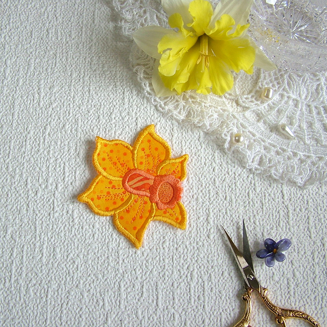 Aplikace Narcis
